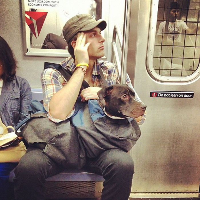 man-with-giant-dog-tote-bag-new-york-subway-4.jpg