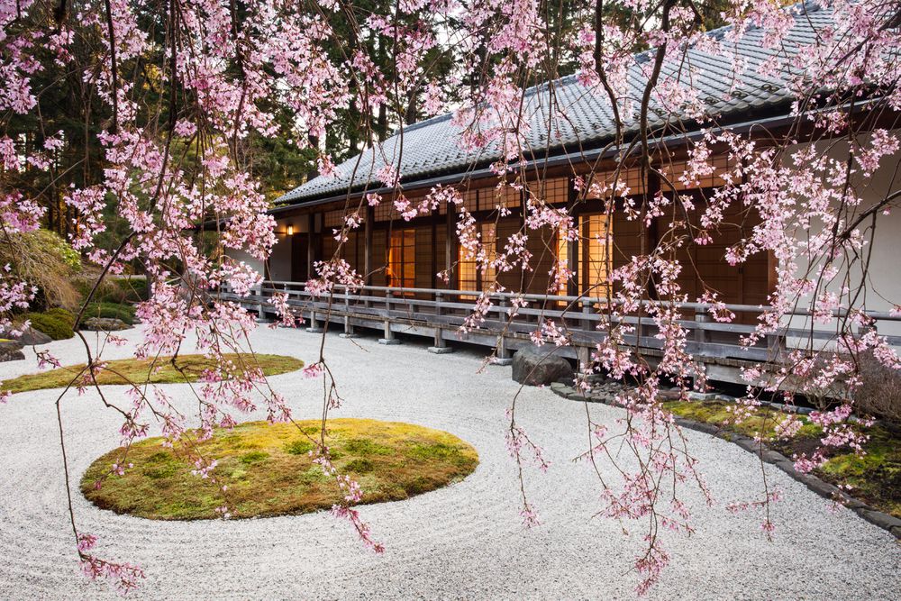 Flat_Garden_and_Pavilion_from_Beneath_the_Weeping_Cherry._Photo_by_Joanthan_Ley.jpg