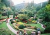 butchart gardens.JPG