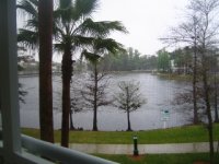 IMG_4569 (320x240).jpg