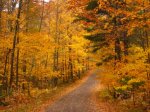 Telemark in the fall .JPG