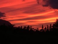 IMG_2415.jpeg