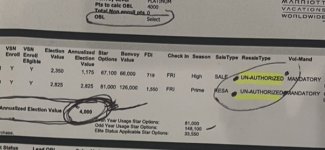 IMG_6789.jpeg