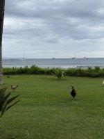 IMG_0437.jpg