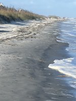 IMG_5293.jpeg