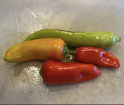 Screenshot 2025-11-08 at 4.25.18 PM.png