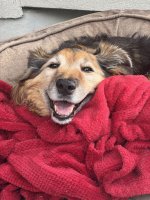 IMG_2964.jpeg
