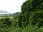 Hanalei 3.JPG