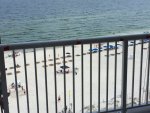 Balcony View from Escapes to the Shores - Orange Beach AL.JPG