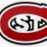 scsu_hockey_fan