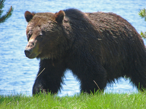 653188440_cmUcm-M.jpg