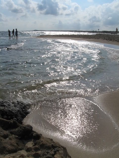 Pat00274-1.jpg
