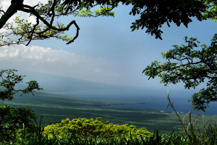 South_Kona_Coastline.JPG