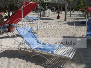 IMG_0973.jpg