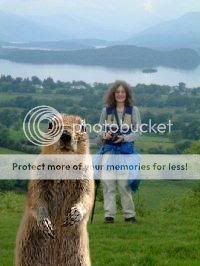 squirrelatlochlomond.jpg