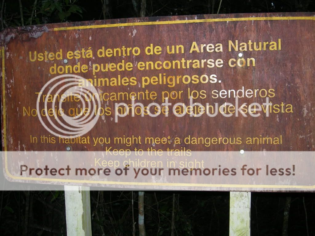 DSCN7554.jpg