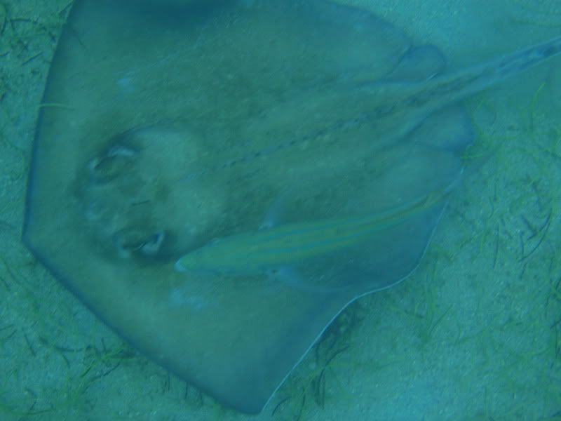 StJohn2009481.jpg
