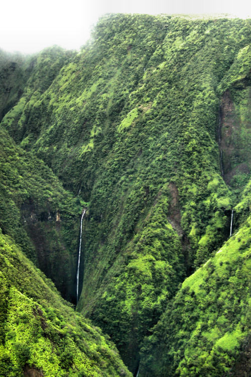 Waimanu_Valley_11_waterfalls.JPG