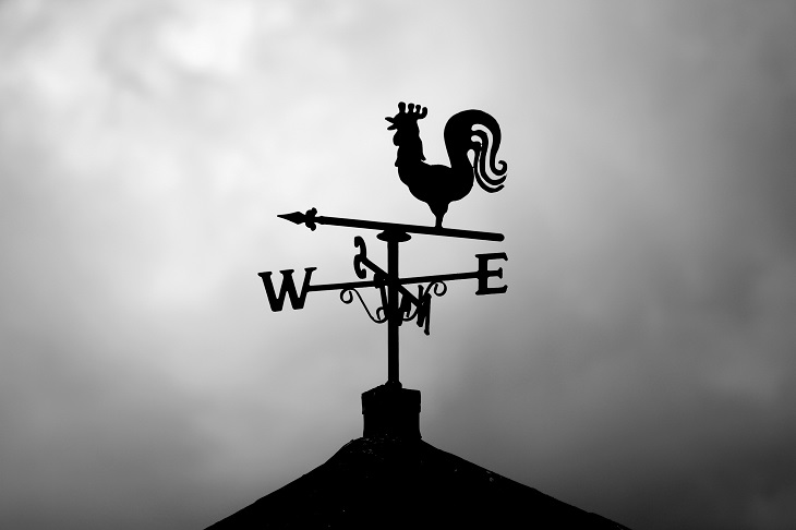 www.spectator.com.au