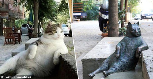 29635576-8423125-This_funny_statue_of_straight_cat_Tombili_relaxing_in_Istanbul_w-a-45_1592238563015.jpg