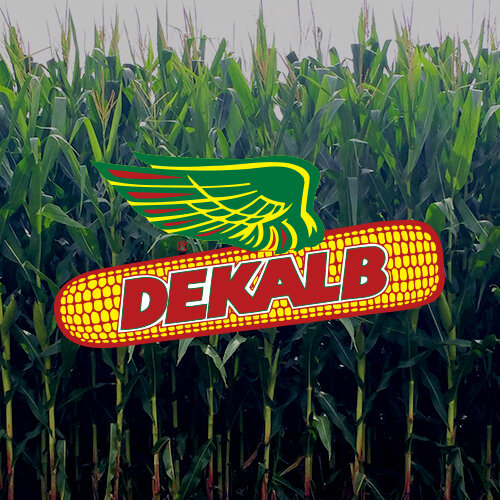 img_500x500-dekalb.jpg