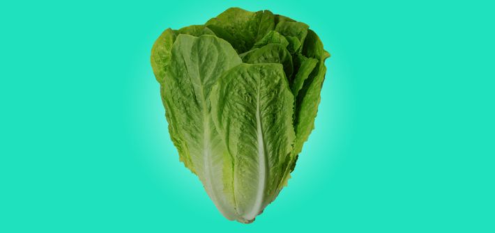 23-romaine-lettuce.nocrop.w710.h2147483647.jpg