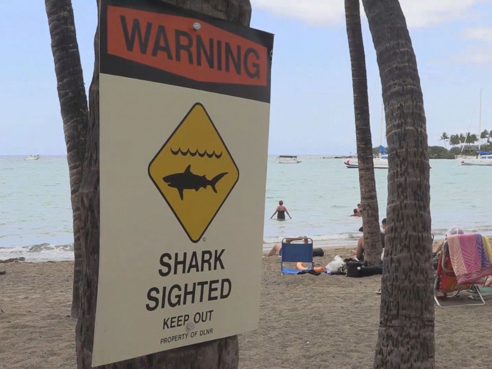 shark-warning-sign-kitv-mo-20190526_hpMain_4x3_992.jpg