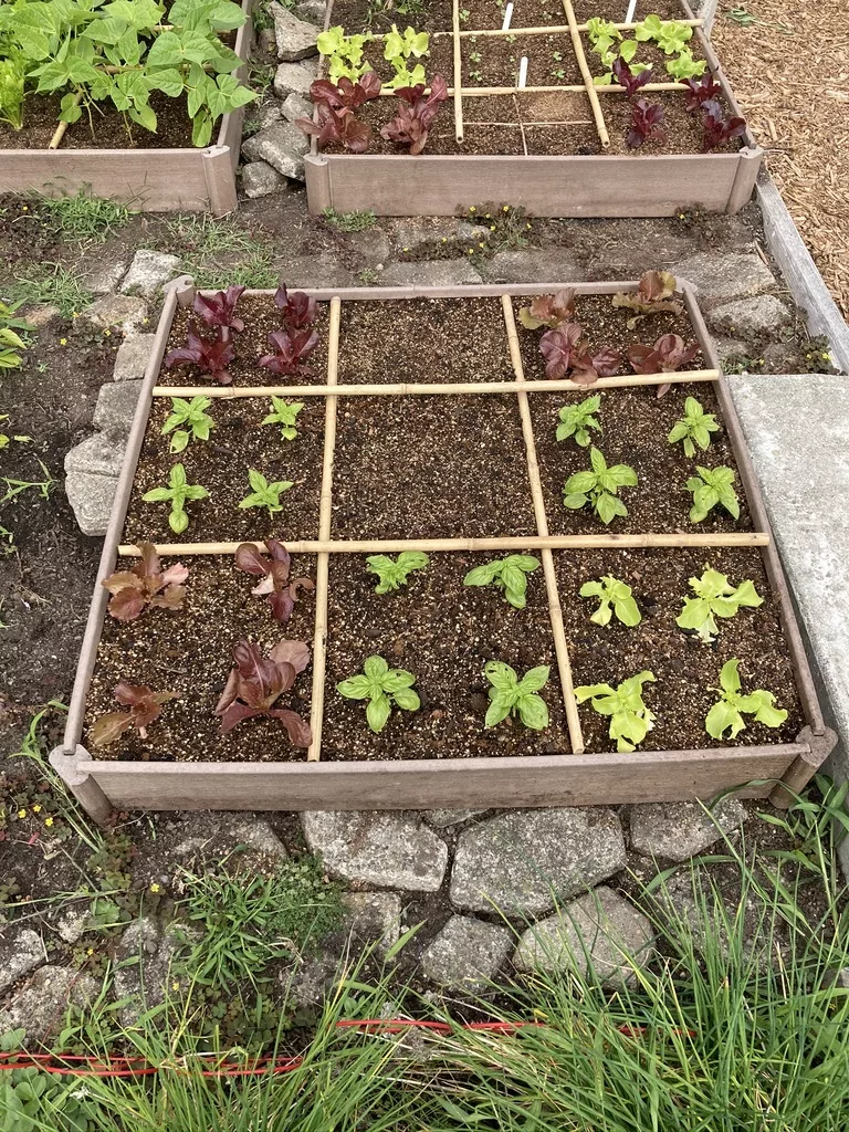 squarefootgardening.org