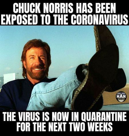 c03_chucknorris.jpeg