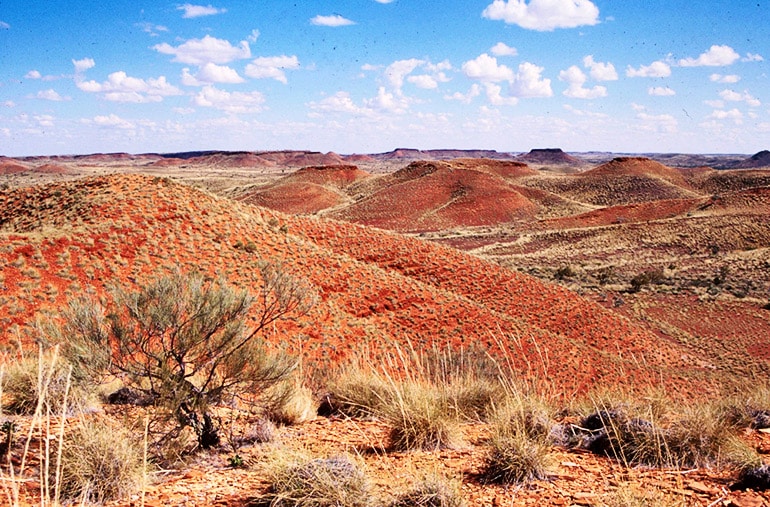 western-australia_770.jpg